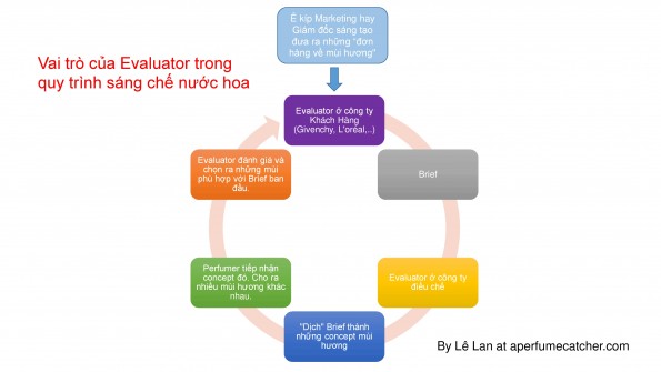 Vai trò của Evaluator trong quy trình sáng chế nước hoa. 