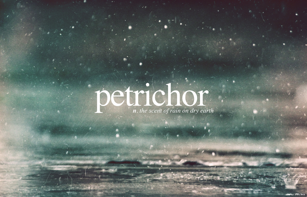 Petrichor.jpg