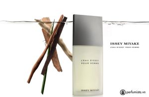 nuoc-hoa-nam-l-eau-d-issey-pour-homme-cua-hang-issey-miyake-55e7fe78a2800