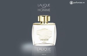 nuoc-hoa-nam-lalique-pour-homme-cua-hang-lalique-55e7fe9c81146