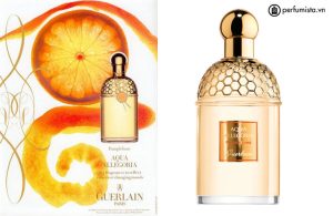 nuoc-hoa-nu-aqua-allegoria-pamplelune-cua-hang-guerlain-55e7fe5851f60