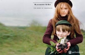 nuoc-hoa-nu-blackberry-bay-cua-hang-jo-malone-55e7fee5bc7a0