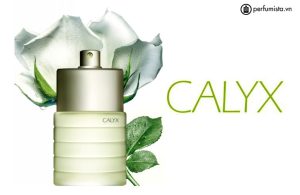 nuoc-hoa-nu-calyx-cua-hang-prescriptives-55e7febb59f8c