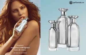 nuoc-hoa-nu-essence-cua-hang-narciso-rodriguez-55e7feb9e8a19