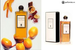 nuoc-hoa-nu-fleurs-d-oranger-cua-hang-serge-lutens-55e7fe6f43645