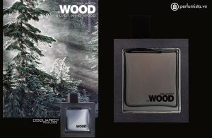 nuoc-hoa-nuoc-hoa-nam-he-wood-silver-wind-wood-cua-hang-dsquared-5629fb332fe76