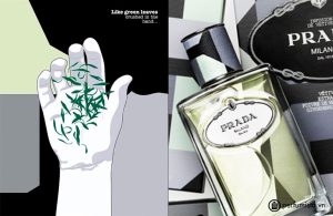 nuoc-hoa-nuoc-hoa-nam-infusion-de-vetiver-cua-hang-prada-568281ca9167a