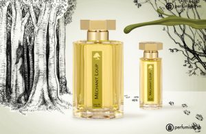 nuoc-hoa-nuoc-hoa-nam-mechant-loup-cua-hang-l-artisan-parfumeur-56437597919be