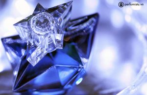 nuoc-hoa-nuoc-hoa-nu-angel-liqueur-de-parfum-2009-cua-hang-thierry-mugler-568a9b5678a15