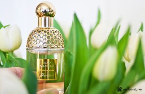 nuoc-hoa-nuoc-hoa-nu-aqua-allegoria-tiare-mimosa-cua-hang-guerlain-5671974decaf6