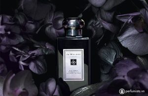nuoc-hoa-nuoc-hoa-nu-dark-amber-and-ginger-lily-cua-hang-jo-malone-5652049362975