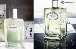 nuoc-hoa-nuoc-hoa-nu-infusion-d-iris-eau-de-toilette-cua-hang-prada-56445d99e5a9c