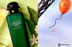 nuoc-hoa-nuoc-hoa-unisex-concentre-d-orange-verte-cua-hang-hermes-5614bd3898888