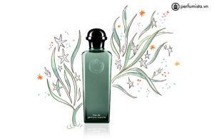 nuoc-hoa-unisex-eau-de-gentiane-blanche-cua-hang-hermes-55e7febecdc61