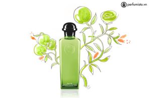nuoc-hoa-unisex-eau-de-pamplemousse-rose-cua-hang-hermes-55e7febf0021f