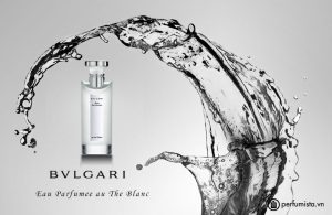 nuoc-hoa-unisex-eau-parfumee-au-the-blanc-cua-hang-bvlgari-55e7fe5c45aed