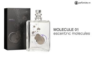 nuoc-hoa-unisex-molecule-01-cua-hang-escentric-molecules-55e7fe7f2923b