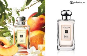 nuoc-hoa-unisex-nectarine-blossom-and-honey-cua-hang-jo-malone-55e7feabd21d2